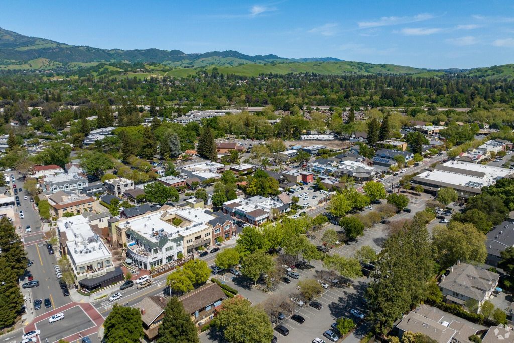 Viviana Cherman Pleasanton & Danville Realtor